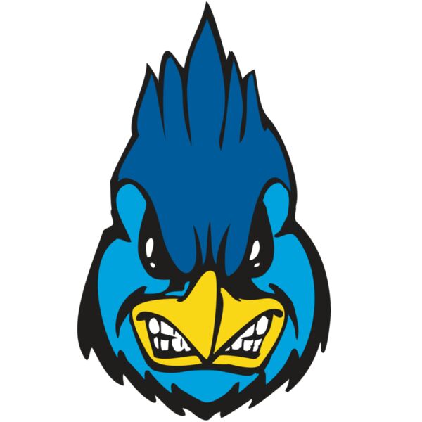 BAW BLUEJAY 02 RC Thumbnail